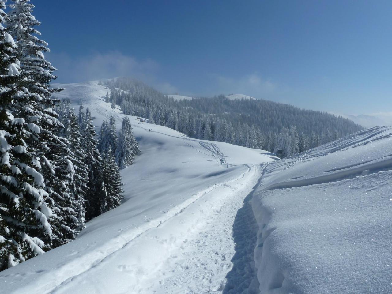 Gaestehaus Alpina Bad Kohlgrub Exteriér fotografie